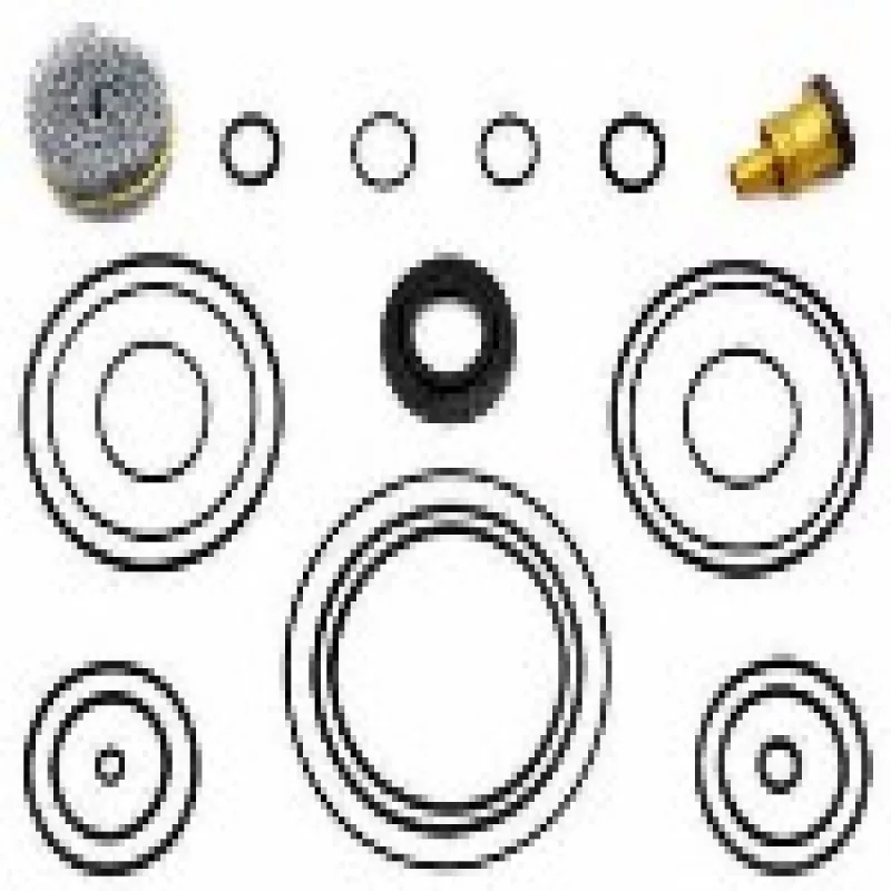 Reparo Valvula Distribuidora Sc S4 114/124 Strallis Mb Axor