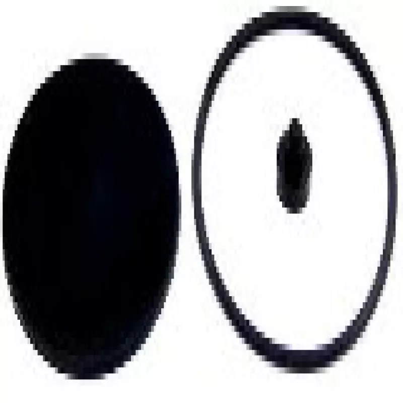 Reparo Valvula Descarga Rapida Sc/ford/mb/vw 50mm Knorr Quinelato