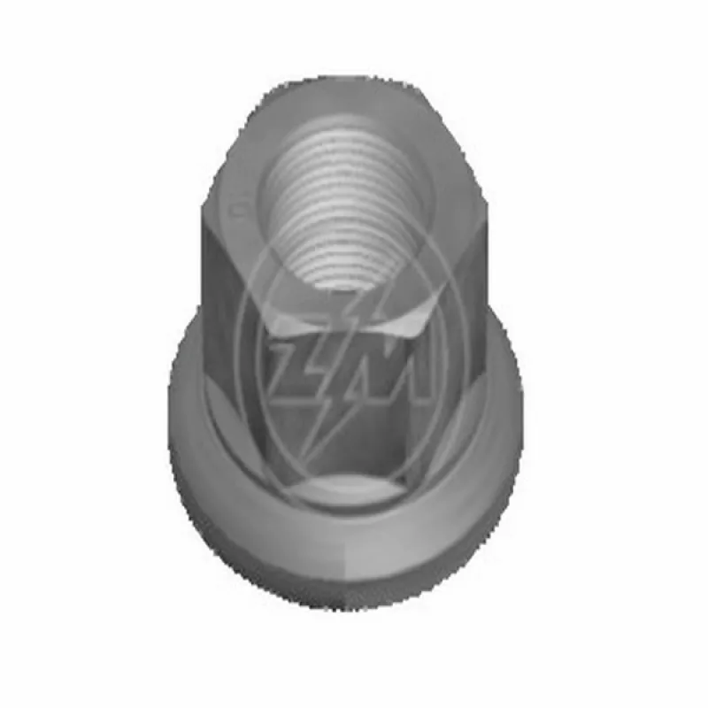Porca Roda Vw/cargo/volvo Fh 04/. Ch33 22mm Zm