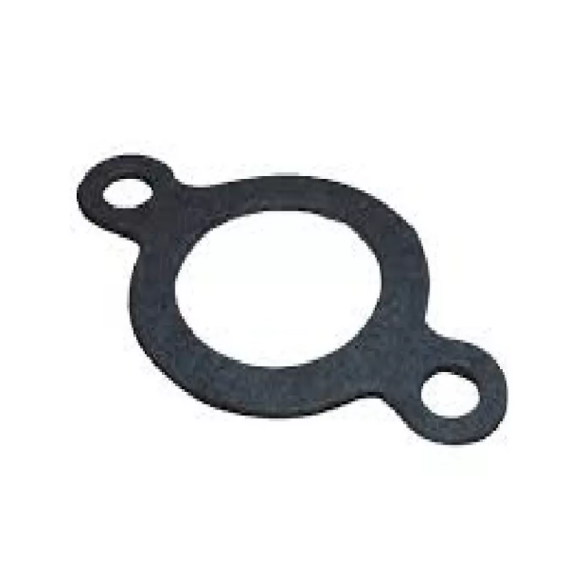 Junta Interna Radiador Oleo Motor Mwm 229 Usa 2 Pcs Universal