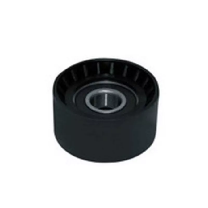 Polia Intermediaria Lternador Master 2.5 16v 05/12 60x31x17 Usa 2 Pecas