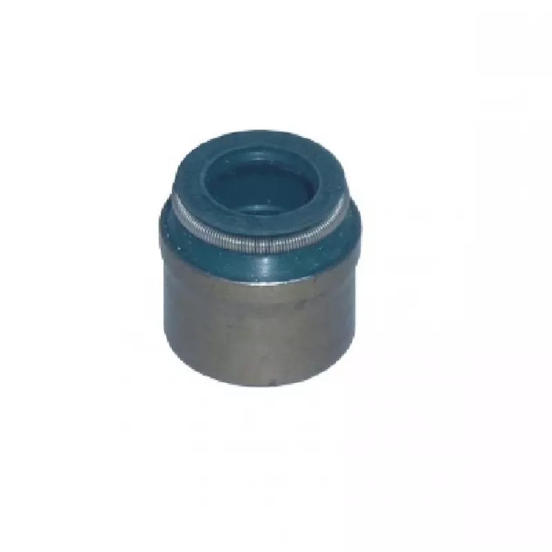 Retentor Valvula Sc 112hw/113/114 94/99 Ecologico 2 - Monta C/cabecote  Sc008 Sabo