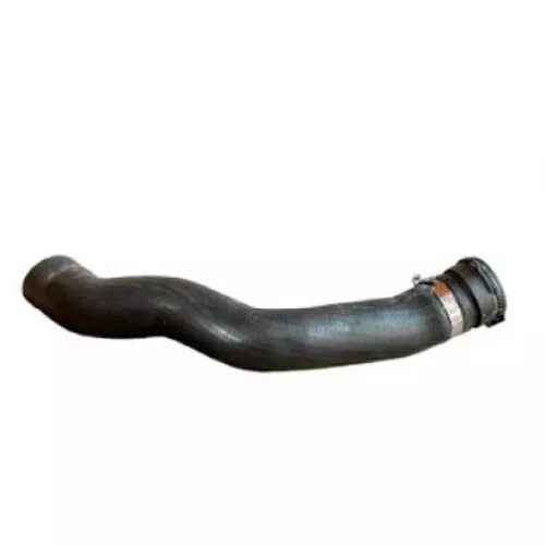 Mangueira Superior Radiador Sc 124 Ntg Euro 7 Brc