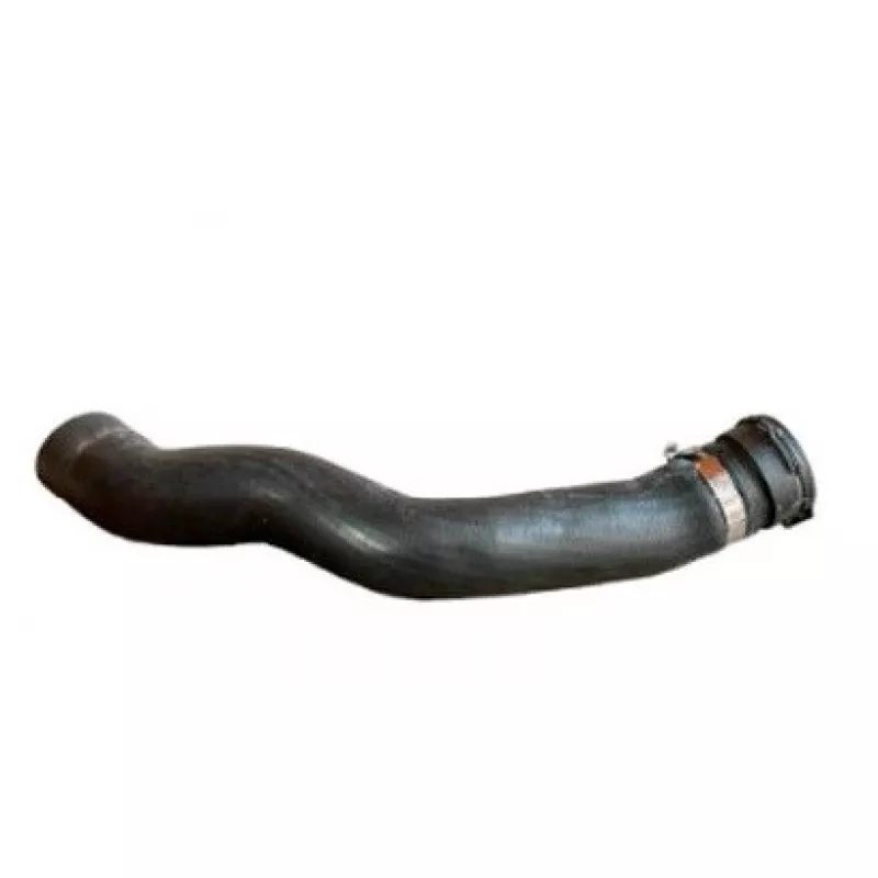 Mangueira Superior Radiador Sc 124 Ntg Euro 7 Brc