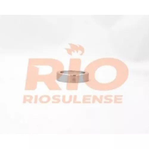 Sede Valvula Escape  Fh/nh12 .../06 Std Rio Sulense