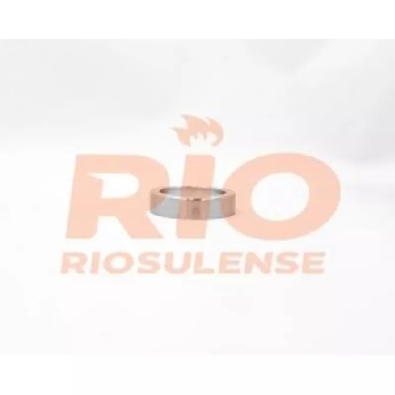 Sede Valvula Escape  Fh/nh12 .../06 Std Rio Sulense