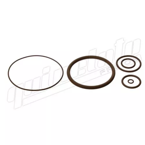 Jogo Reparo Vedacao Caixa Cambio Ea11109la Cargo/tector Torq Shift Quinelato