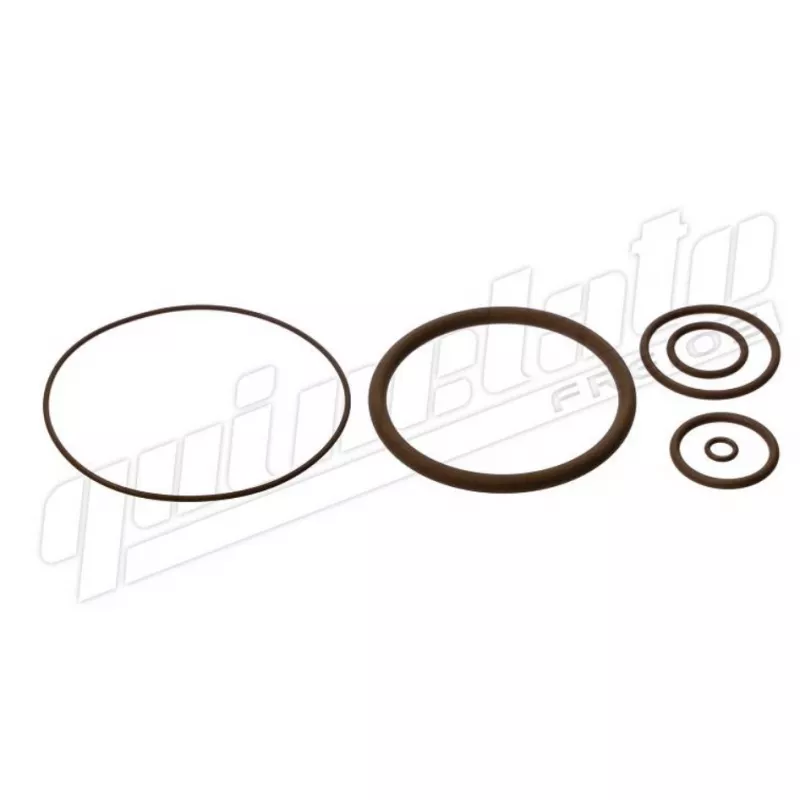 Jogo Reparo Vedacao Caixa Cambio Ea11109la Cargo/tector Torq Shift Quinelato